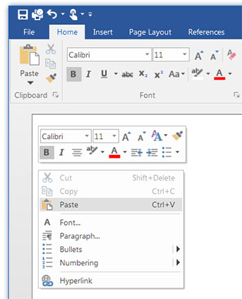 BCGSoft - Feature Tour: Ribbon Mini Toolbar ("Floaty")